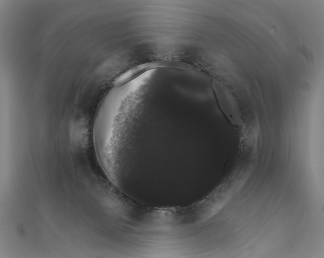 X0000111800080200908201202