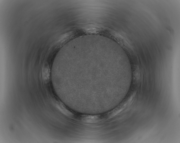 X0000111800081200908201202