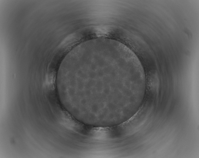 X0000111800082200908201202