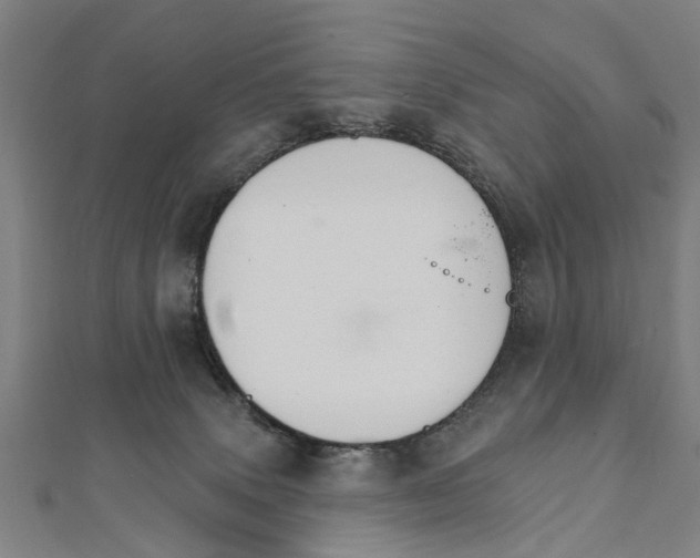 X0000111800083200908201202