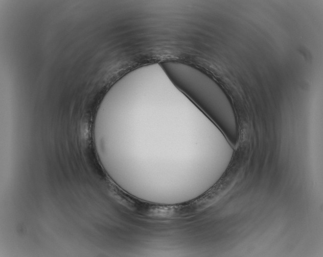 X0000111800084200908201202