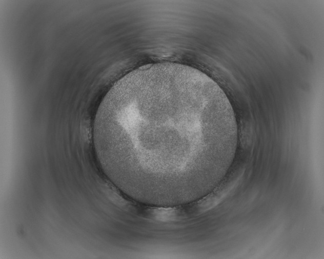 X0000111800085200908201202