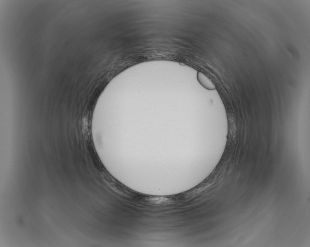 X0000111800087200908201202
