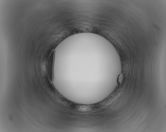 X0000111800088200908201202
