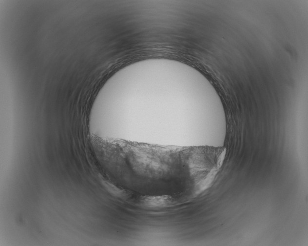 X0000111800089200908201202