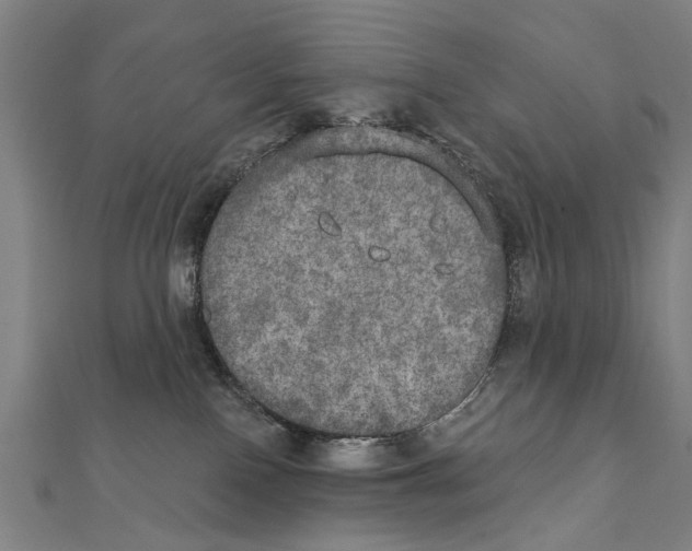X0000111800090200908201202