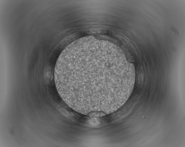 X0000111800091200908201202