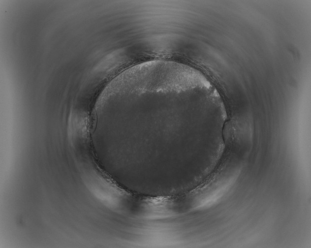 X0000111800092200908201202