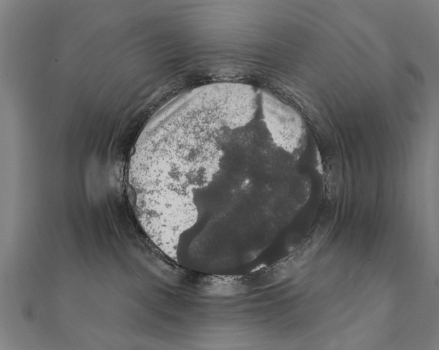 X0000111800093200908201202