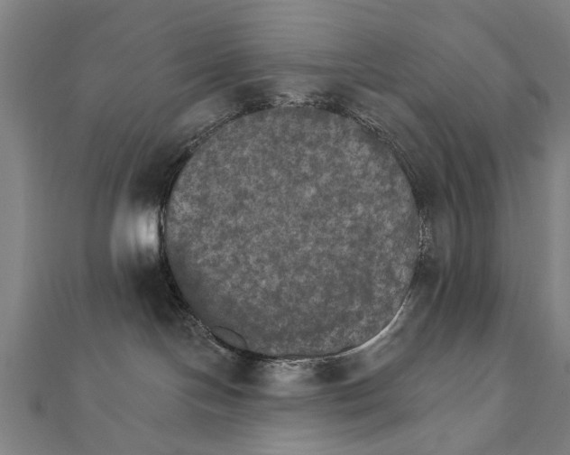 X0000111800094200908201202