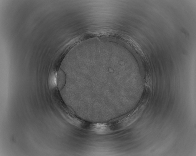 X0000111800095200908201202