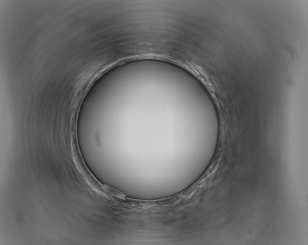 X0000111800097200908201202