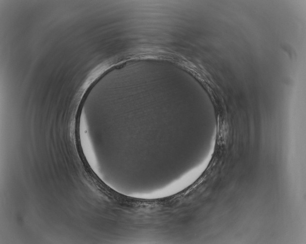 X0000111800099200908201202