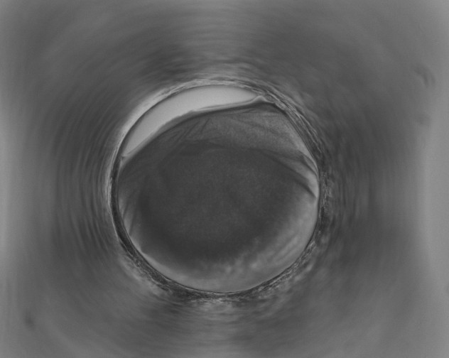 X0000111800100200908201202