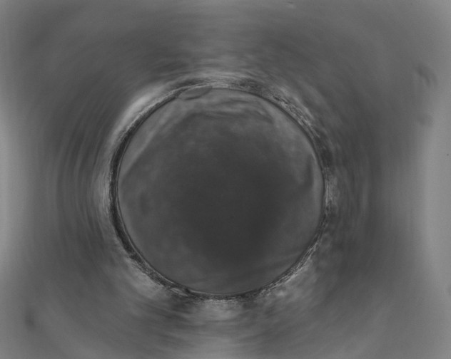 X0000111800101200908201202