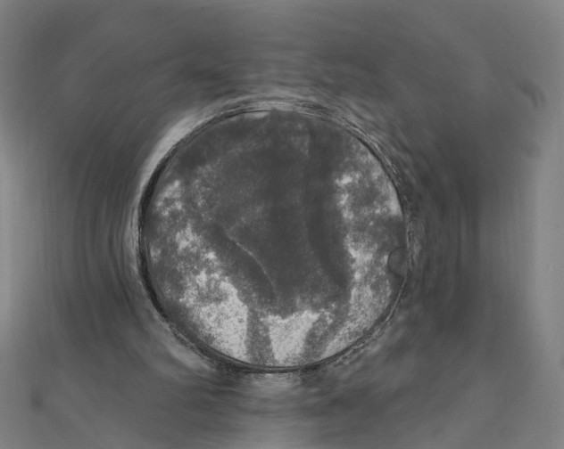 X0000111800102200908201202