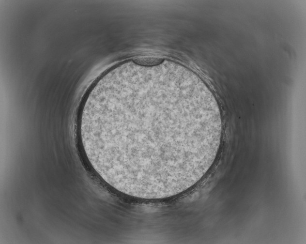X0000111800103200908201202