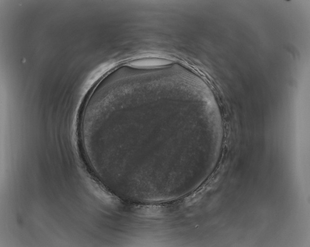 X0000111800104200908201202