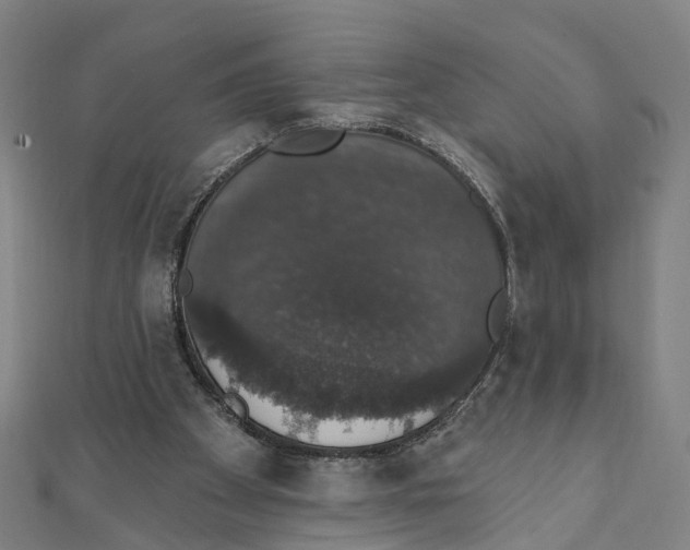 X0000111800105200908201202