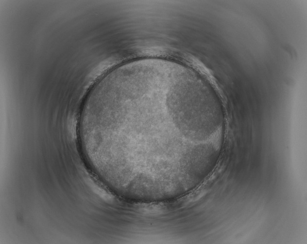 X0000111800106200908201202