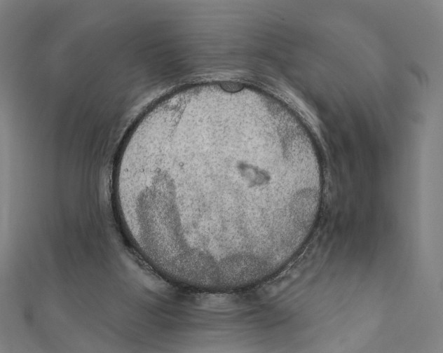 X0000111800107200908201202