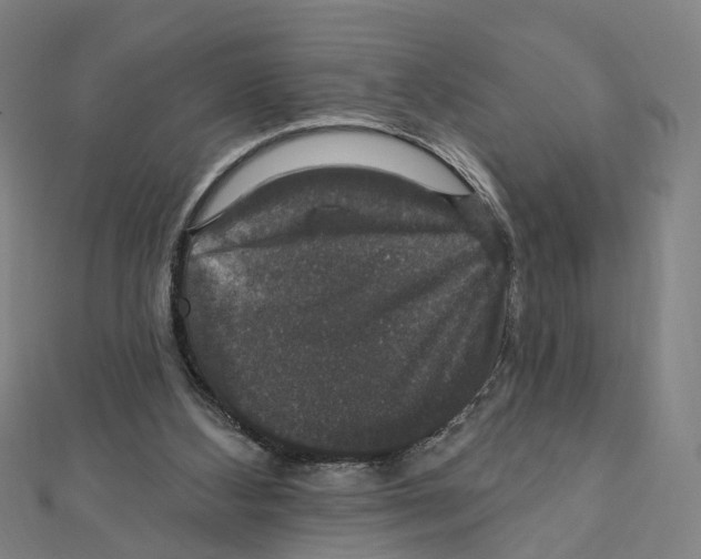 X0000111800108200908201202