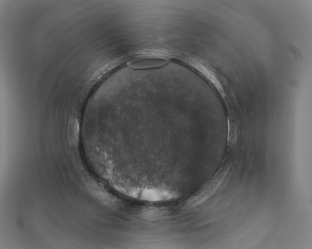 X0000111800109200908201202