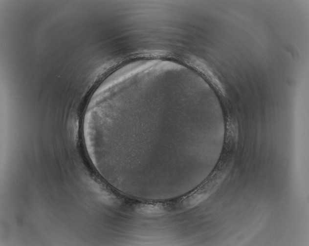 X0000111800110200908201202