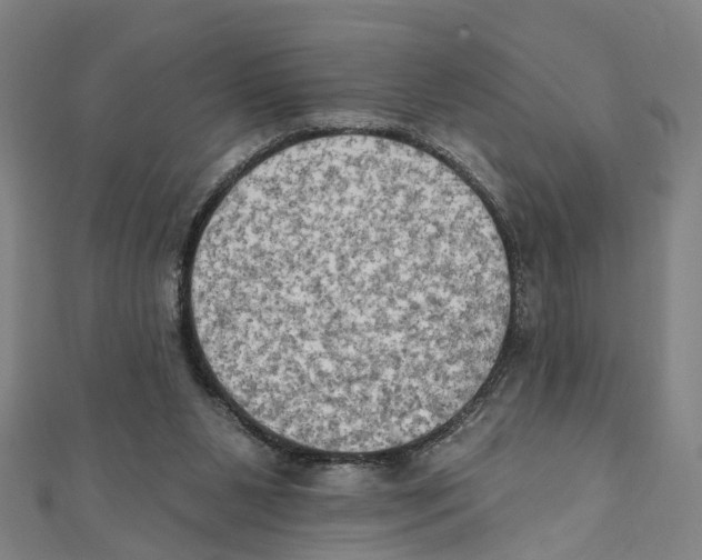 X0000111800111200908201202