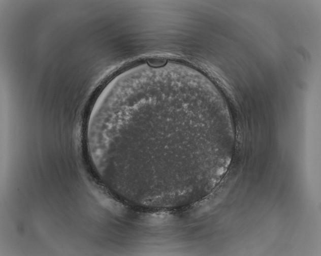 X0000111800112200908201202