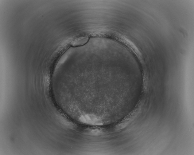 X0000111800113200908201202