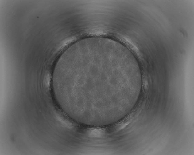 X0000111800115200908201202