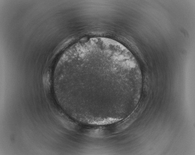 X0000111800116200908201201