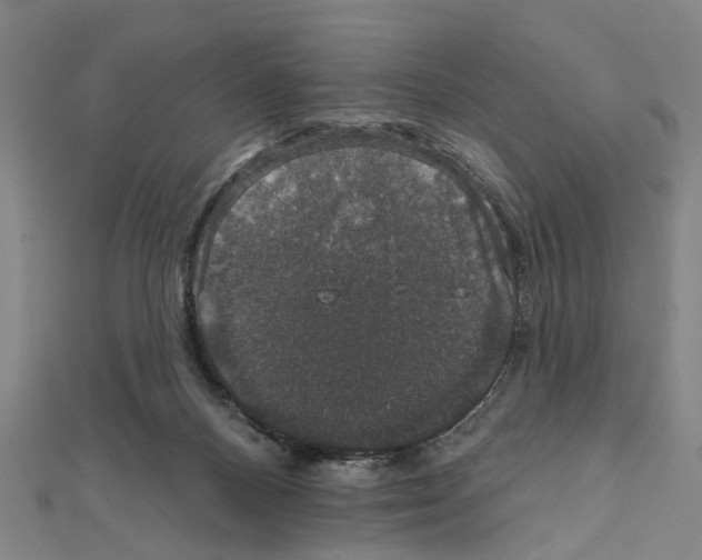 X0000111800120200908201201