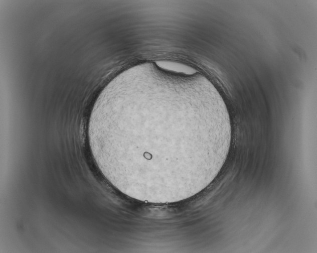 X0000111800121200908201201
