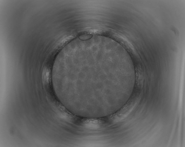 X0000111800123200908201201