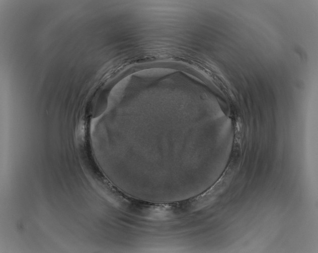 X0000111800124200908201201
