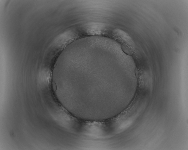 X0000111800125200908201201