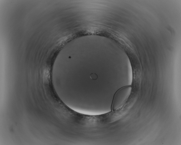 X0000111800127200908201201