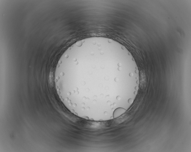 X0000111800130200908201201