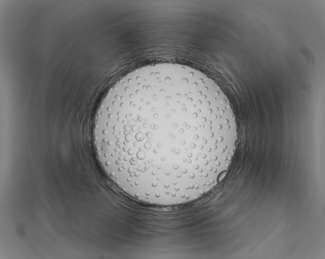 X0000111800131200908201201