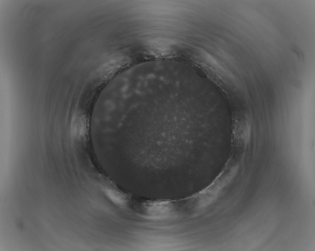 X0000111800132200908201201