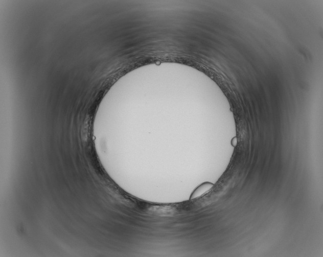 X0000111800133200908201201
