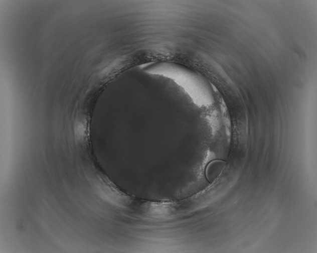 X0000111800134200908201201