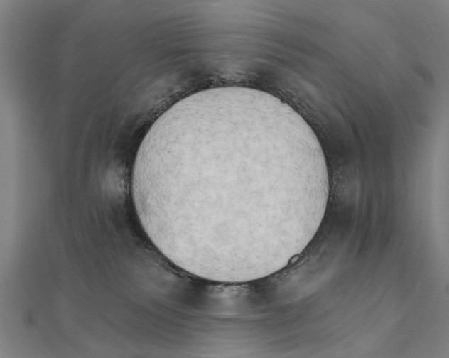 X0000111800135200908201201