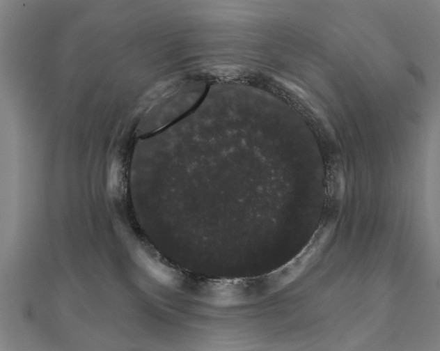 X0000111800136200908201201