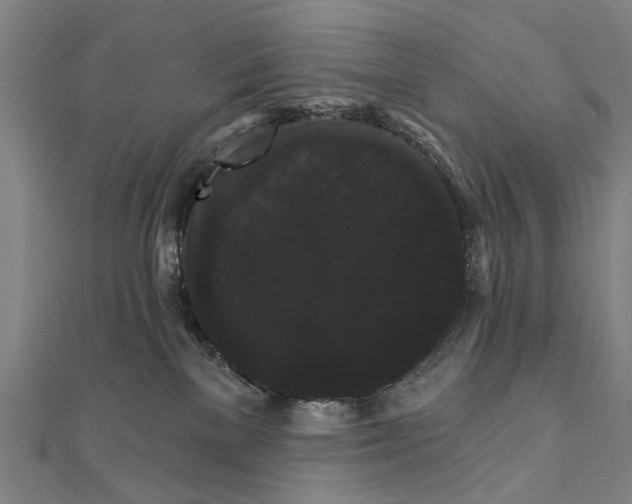 X0000111800137200908201201