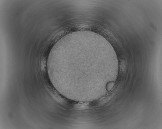 X0000111800138200908201201