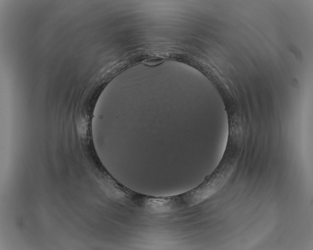 X0000111800139200908201201