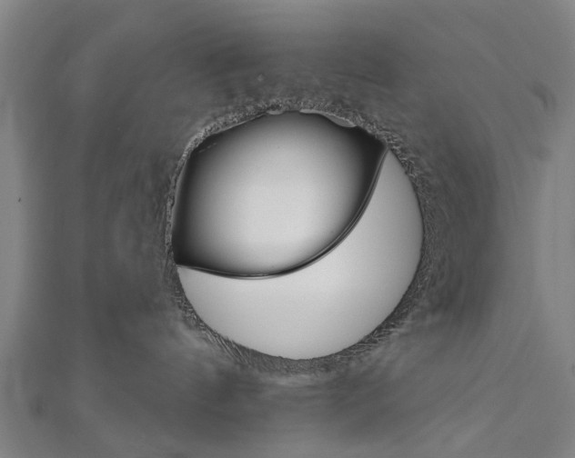 X0000111800144200908201201